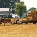 a man is pulling a horse pulling a cart of hay