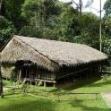 a hut with a straw roof in the grass