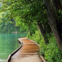 a wooden path next to a lake with trees
