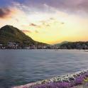 a view of a beach and a mountain with purple flowers