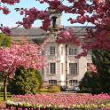 a large building with pink flowers in front of it