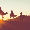 a group of people riding camels in the desert