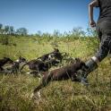 a man standing in a field with a group of dogs