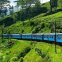 a blue train traveling through a green hillside