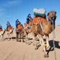 a group of people on camels in the desert