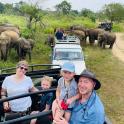 a group of people riding in a safari truck with elephants