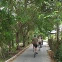 two people riding bikes down a path with trees