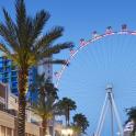 a large ferris wheel in a city with palm trees