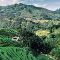 an aerial view of a mountain valley with green fields