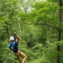 a person on a zip line in a forest
