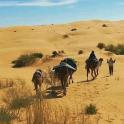 一群人骑着骆驼在沙漠中