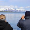 two people sitting on the edge of a body of water