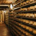 a room filled with shelves filled with cheese