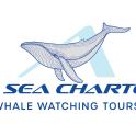an image of a whale watching tour logo