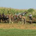 a group of men on horses pulling a trailer