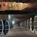 a row of wine barrels in a wine cellar