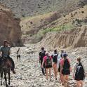 a group of people riding horses on a rocky trail
