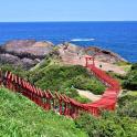 a red train on a hill near the ocean