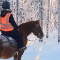 a person riding a horse in the snow