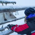 a young child petting a horse in the snow