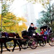 a man riding a horse drawn carriage with people