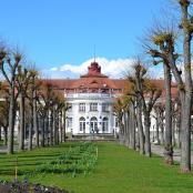 一座白色的大楼,前面有树