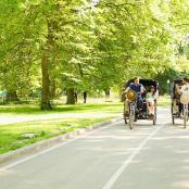 a group of people riding a horse drawn carriage down a road