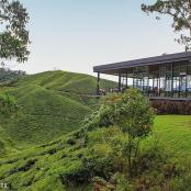 um edifício situado no topo de uma colina verde
