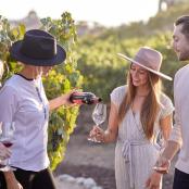 a group of people drinking wine in a vineyard