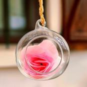 一朵粉红色的玫瑰花放在玻璃饰品里