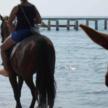 una dona muntant a cavall a la platja