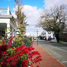 un carrer amb flors al costat d'un edifici