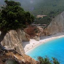 a tree on the side of a mountain with a beach