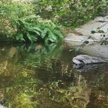 un fiume con una roccia in mezzo