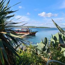 a boat on a body of water with a palm tree