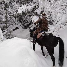 a person riding a horse in the snow
