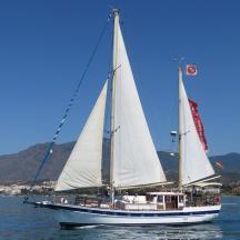 a sail boat in the water on the water