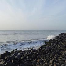 a rocky beach with a bird flying over the ocean
