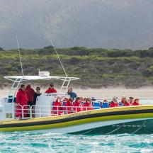 eine Gruppe von Menschen auf einem Boot im Wasser