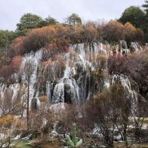 o cascadă în mijlocul pădurii