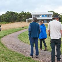 a group of people looking at a bird on a road