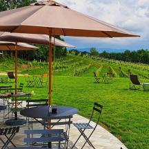 傘の下に置かれたテーブルと椅子のグループ