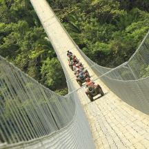 a group of people walking on a suspension bridge