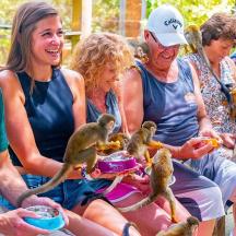 un grup de persones assegudes alimentant animals