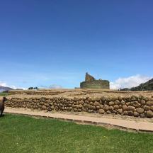 коза стоїть перед кам'яною стіною