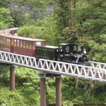 a small train on a bridge over a river