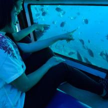 Eine Frau sitzt in einem Zug und beobachtet Fische durch ein Fenster.