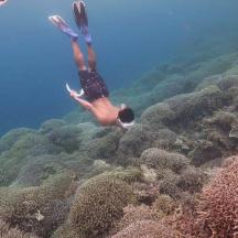 a person is diving over a coral reef