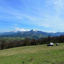 a green field with a snow capped mountain in the background