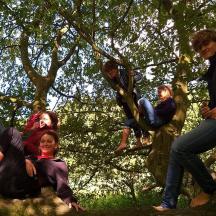 un grup de persones assegudes en un arbre